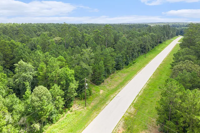 a view of a yard with a large trees and plants
