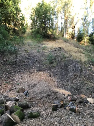 a view of a yard with lots of green space