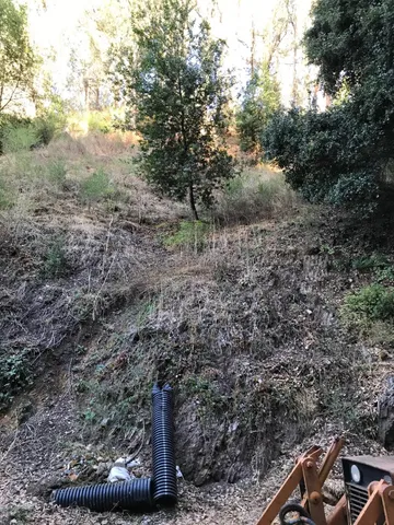 a view of a forest with trees