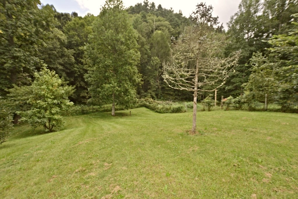 974 Obes Branch Road Sevierville, TN 37876 - Photo 31 of 36