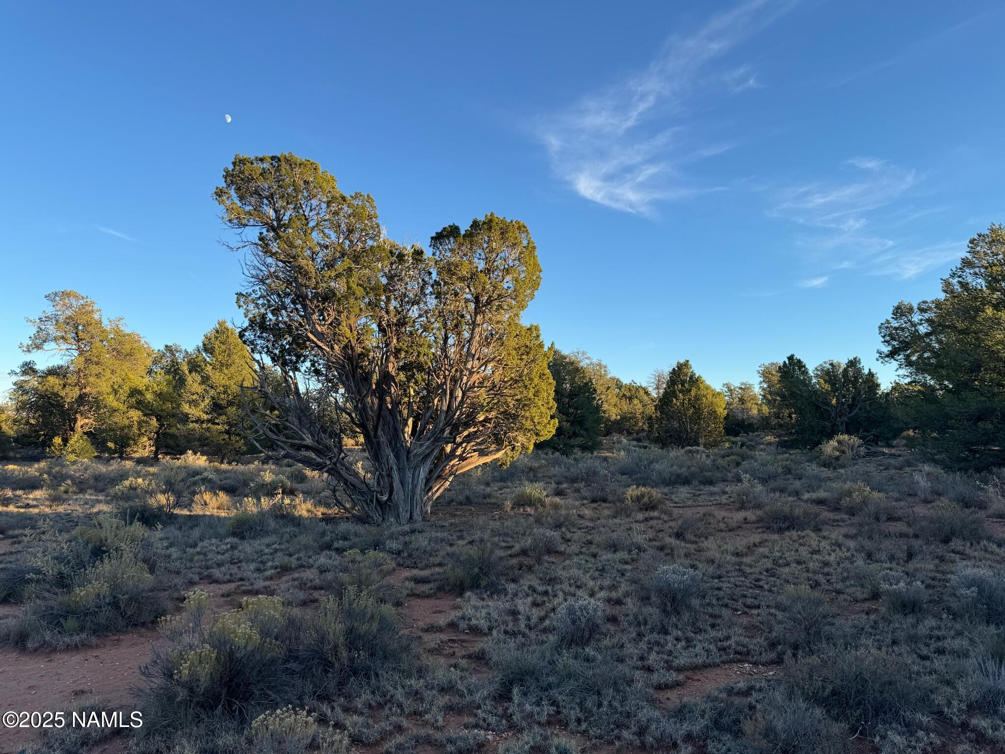 4813 East Woodland Rnch Road Williams, AZ 86046 - Photo 5 of 6 a view of a tiny house with a yard