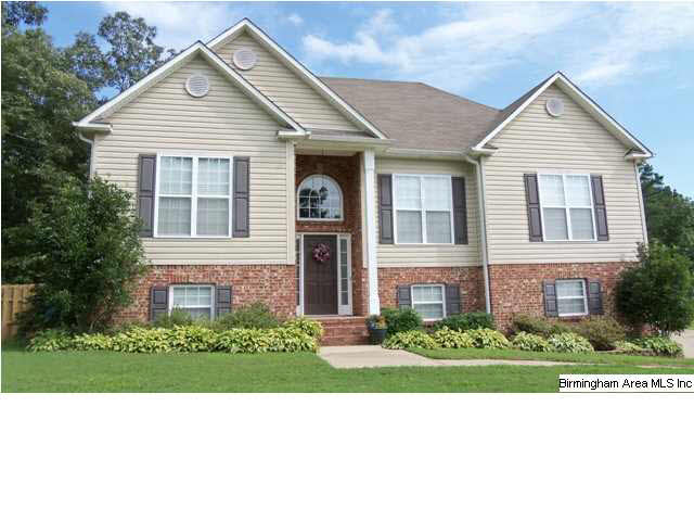 220 Turkey Trail Road Odenville, AL 35120 - Photo 1 of 21