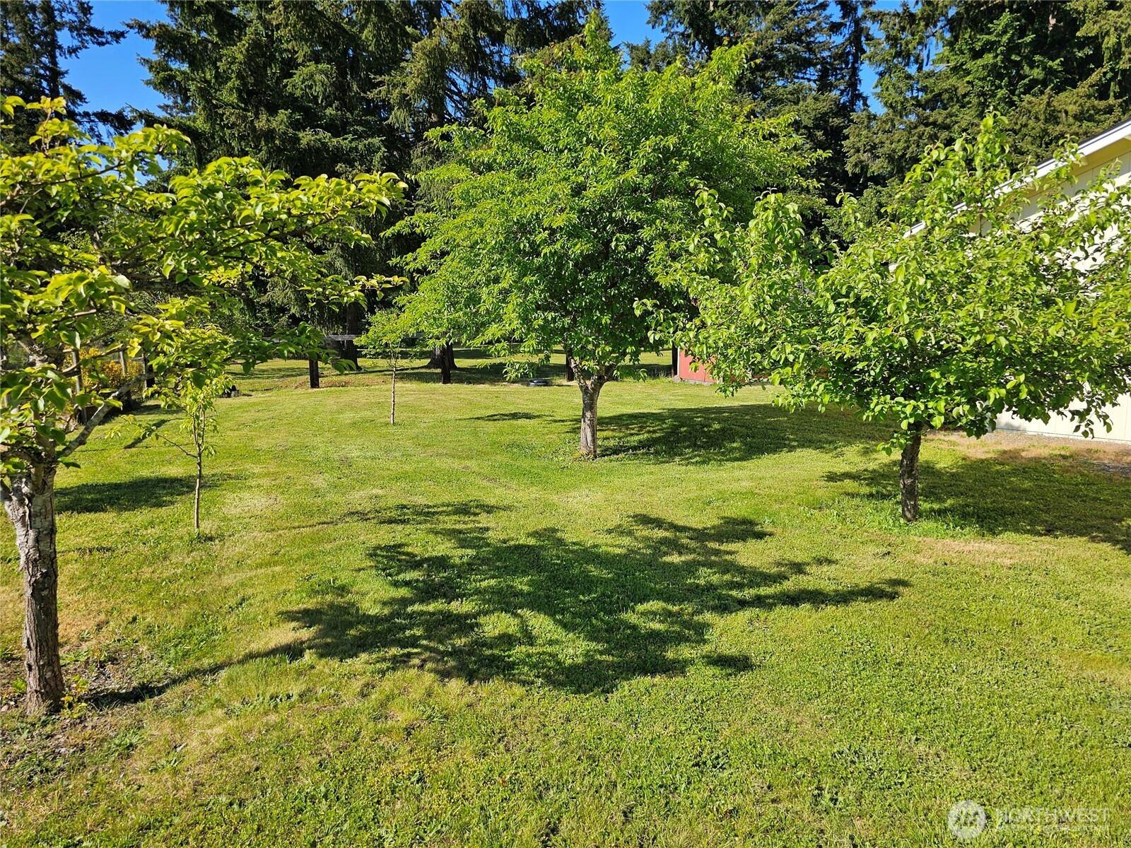 17103 Camas Run Lane Southwest Rochester, WA 98579 - Photo 29 of 40 a view of yard with an trees