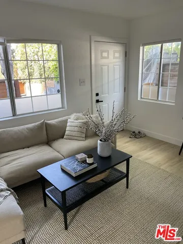 a living room with furniture and a potted plant