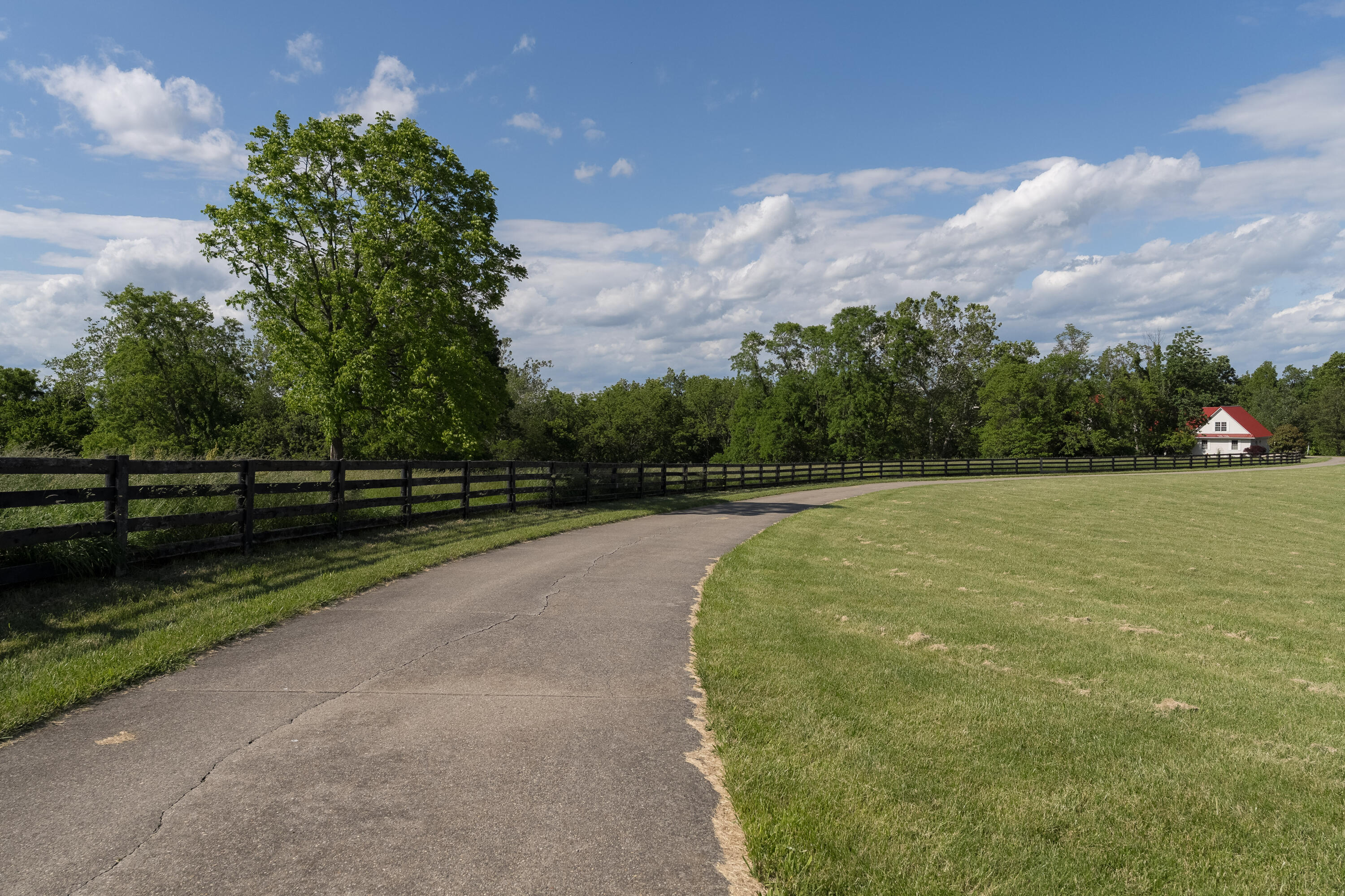 405 Alexander Road Crittenden, KY 41030 - Photo 5 of 54 Gallery Image 5