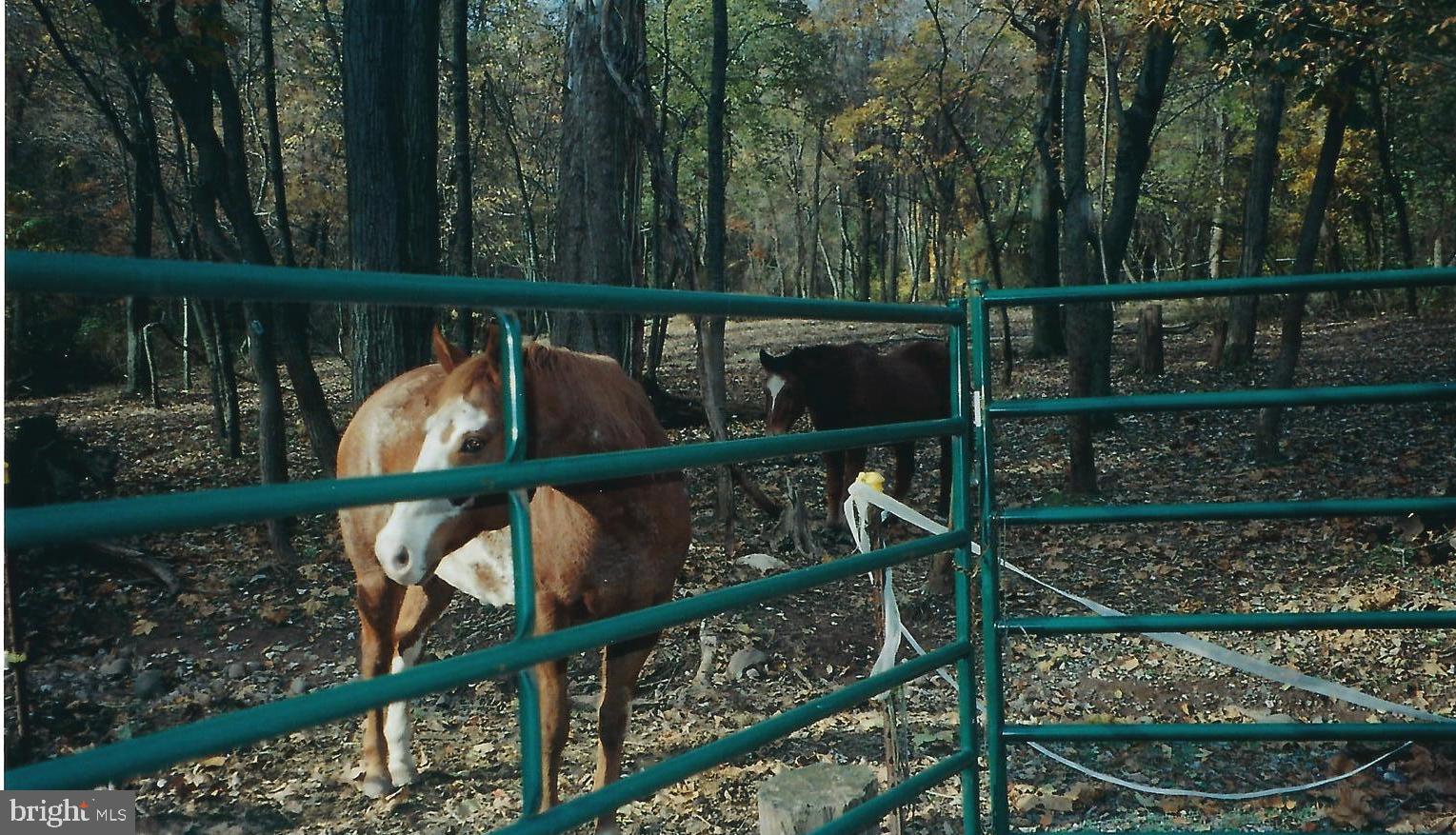 851 Lewisberry Road Lewisberry, PA 17339 - Photo 24 of 41 Keep your horses at HOME!