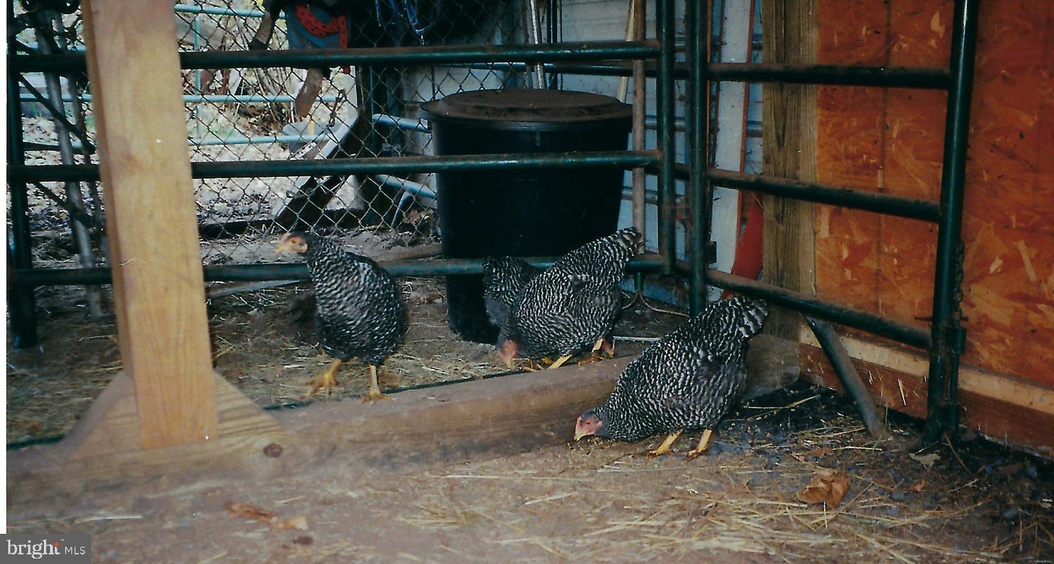 851 Lewisberry Road Lewisberry, PA 17339 - Photo 26 of 41 Animal lovers--this HOME is for you!