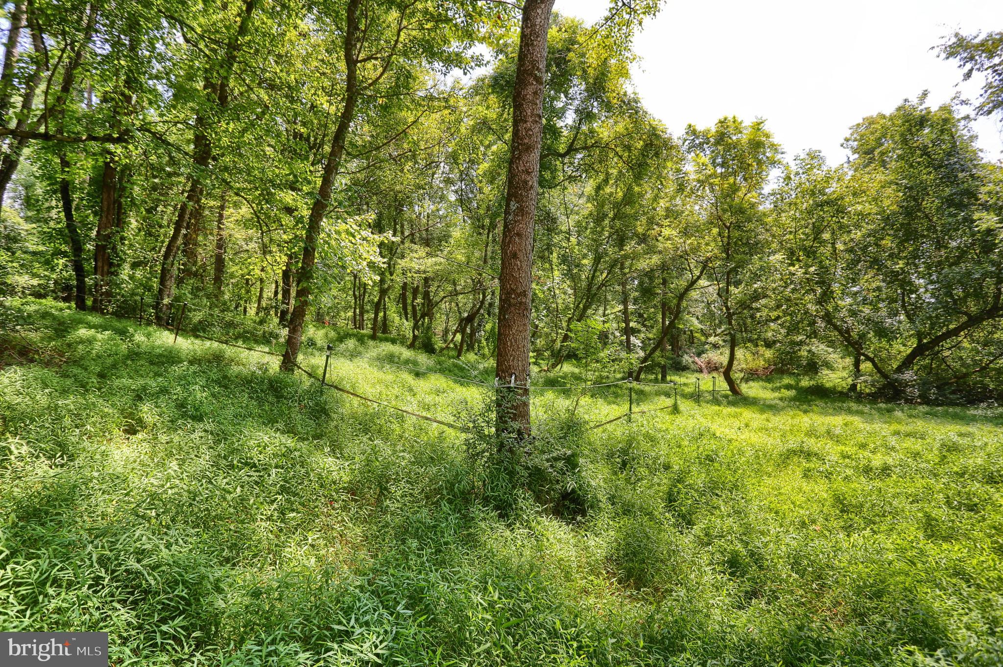 851 Lewisberry Road Lewisberry, PA 17339 - Photo 29 of 41 ...or long walks...