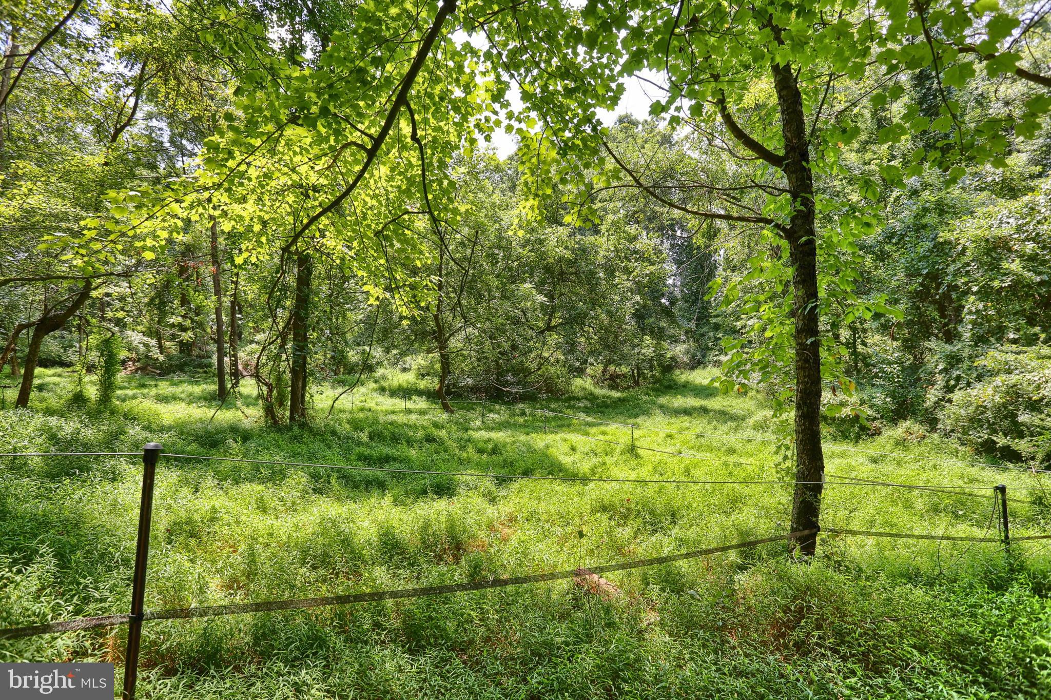 851 Lewisberry Road Lewisberry, PA 17339 - Photo 30 of 41 ...or other animals...