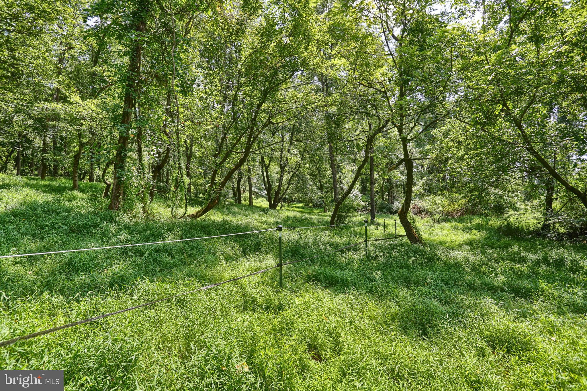 851 Lewisberry Road Lewisberry, PA 17339 - Photo 31 of 41 ...or a garden...