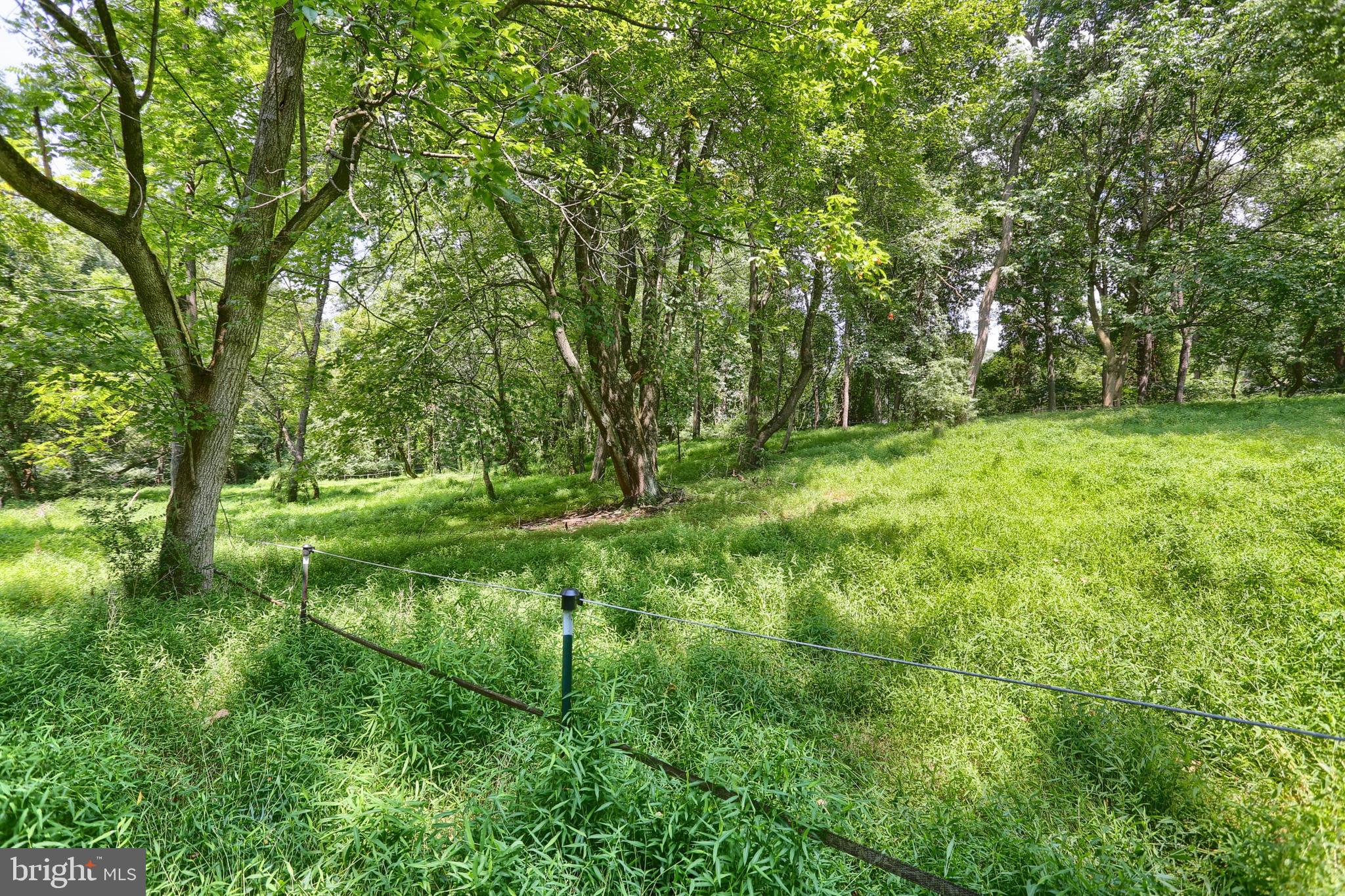851 Lewisberry Road Lewisberry, PA 17339 - Photo 32 of 41 ...or simply some privacy.
