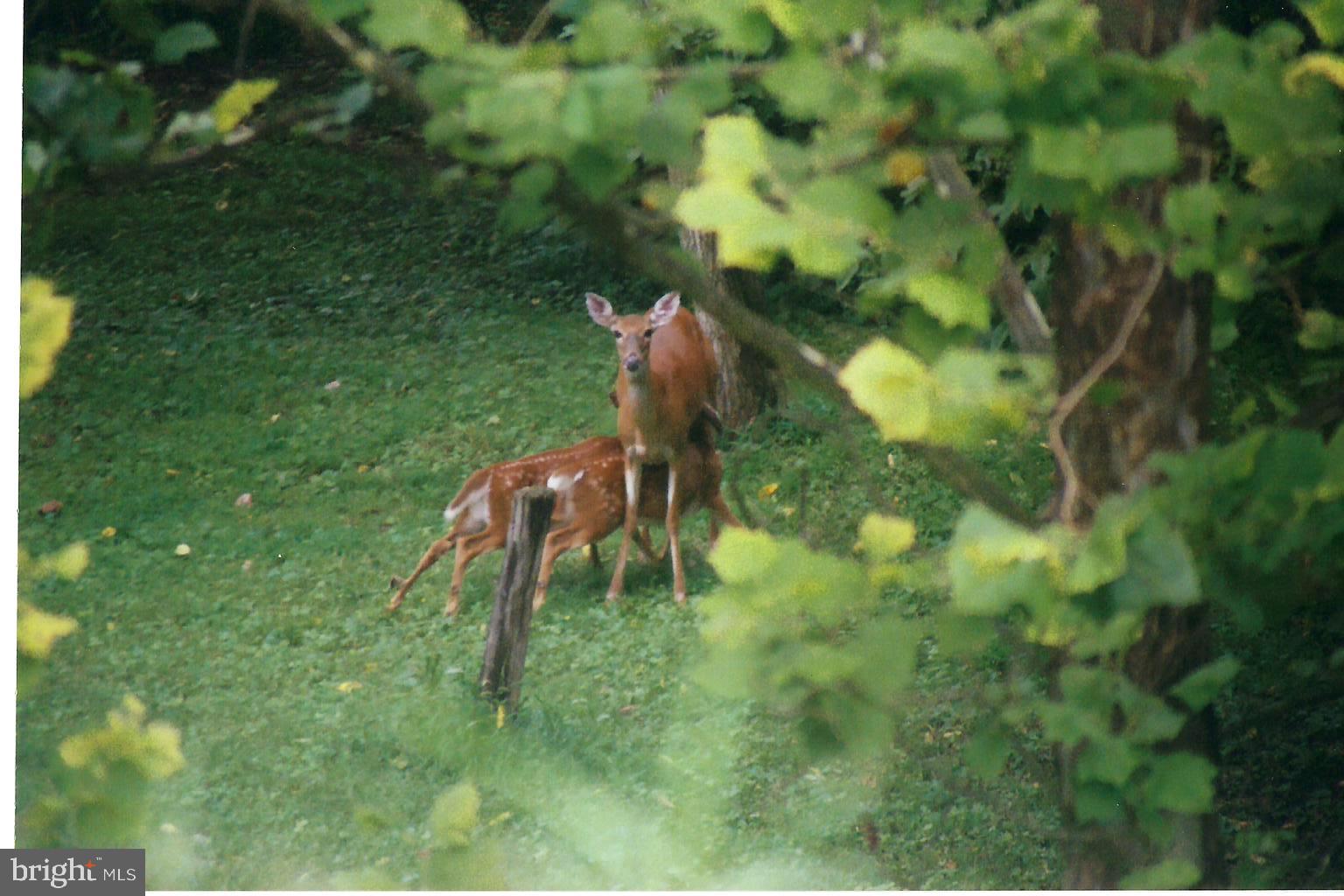 851 Lewisberry Road Lewisberry, PA 17339 - Photo 36 of 41 Priceless.
