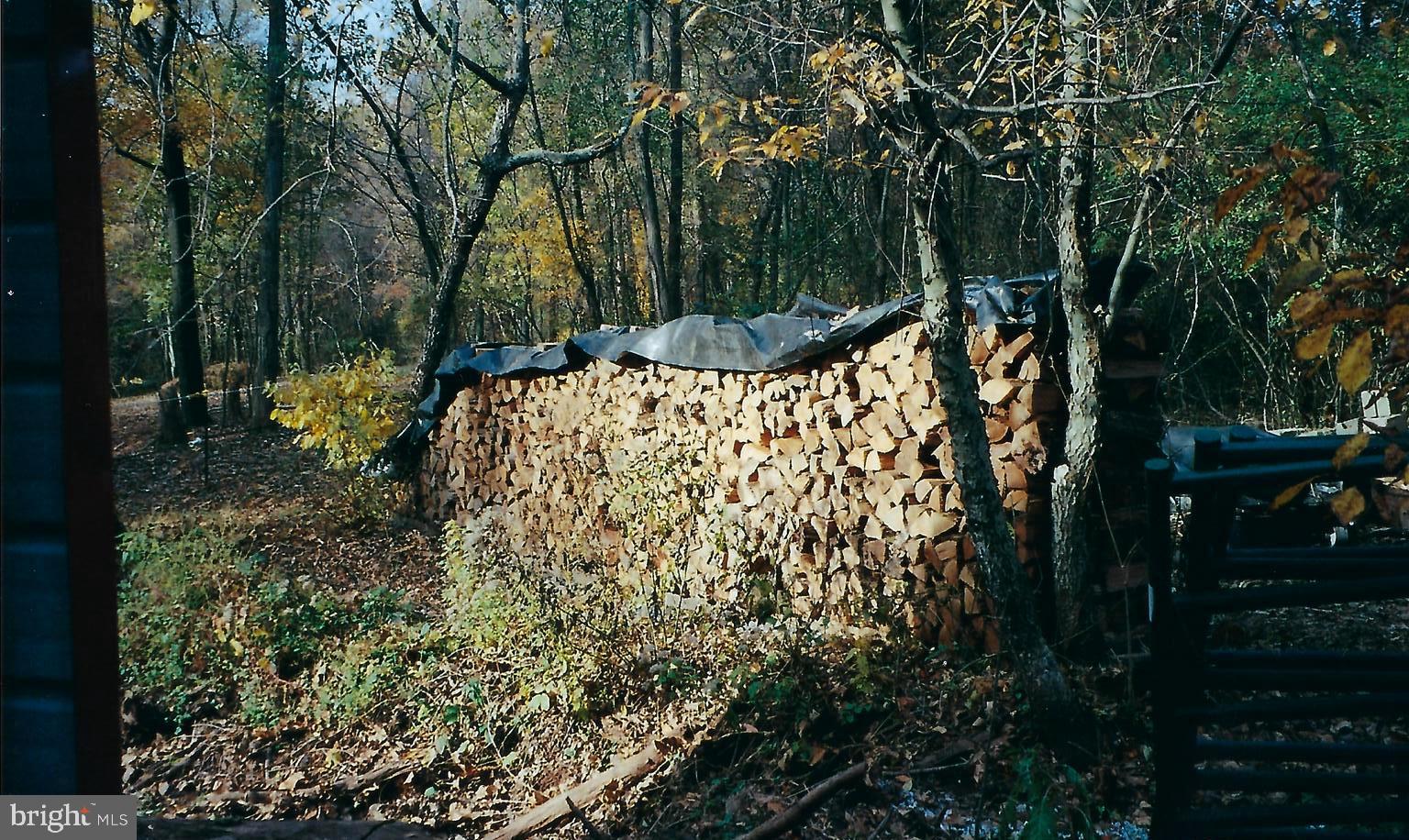851 Lewisberry Road Lewisberry, PA 17339 - Photo 41 of 41 Chop your own firewood for this winter