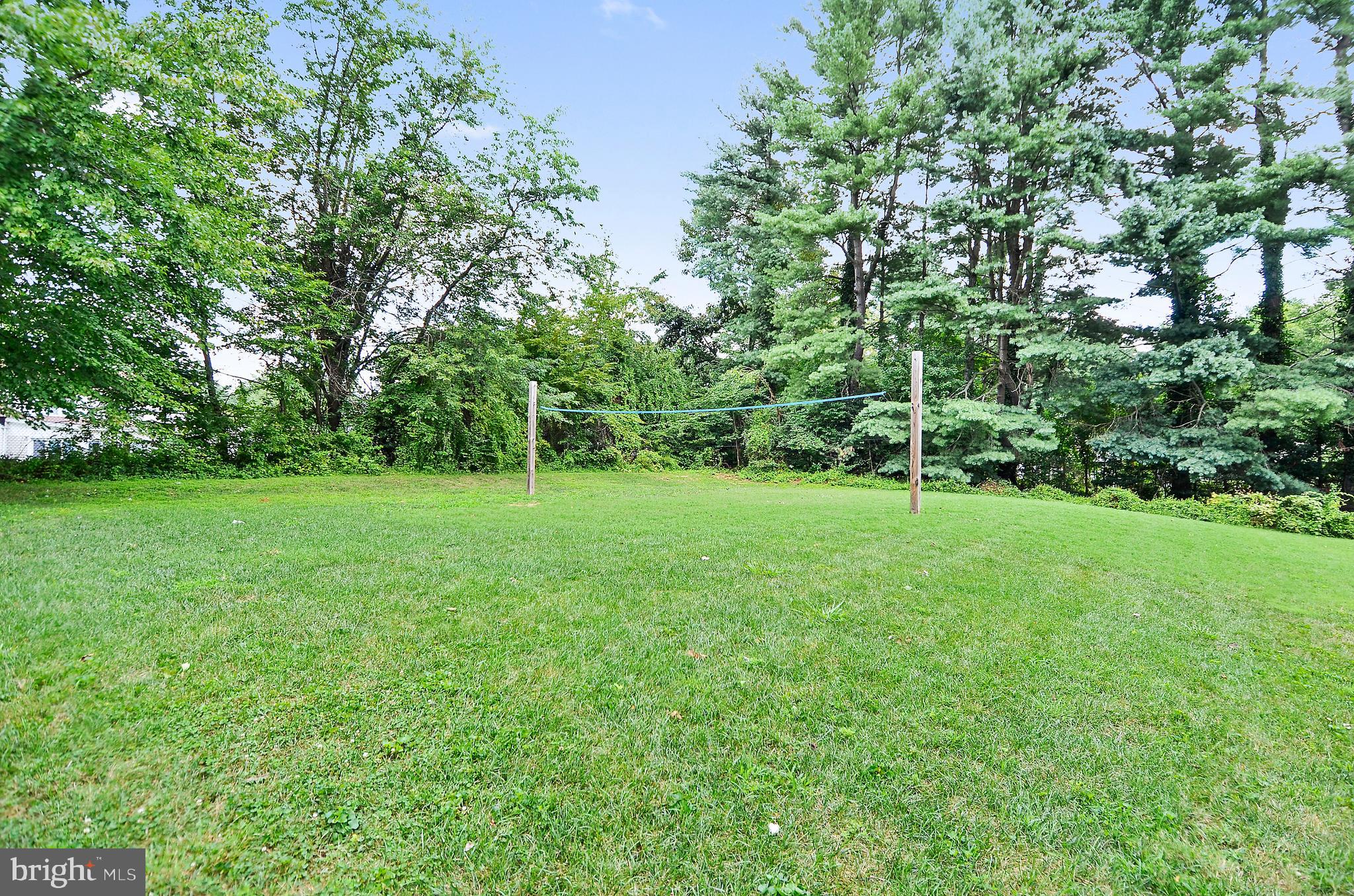 2917 Birchtree Lane Silver Spring, MD 20906 - Photo 40 of 40 Beautiful lush trees, flowers, plantings, grass