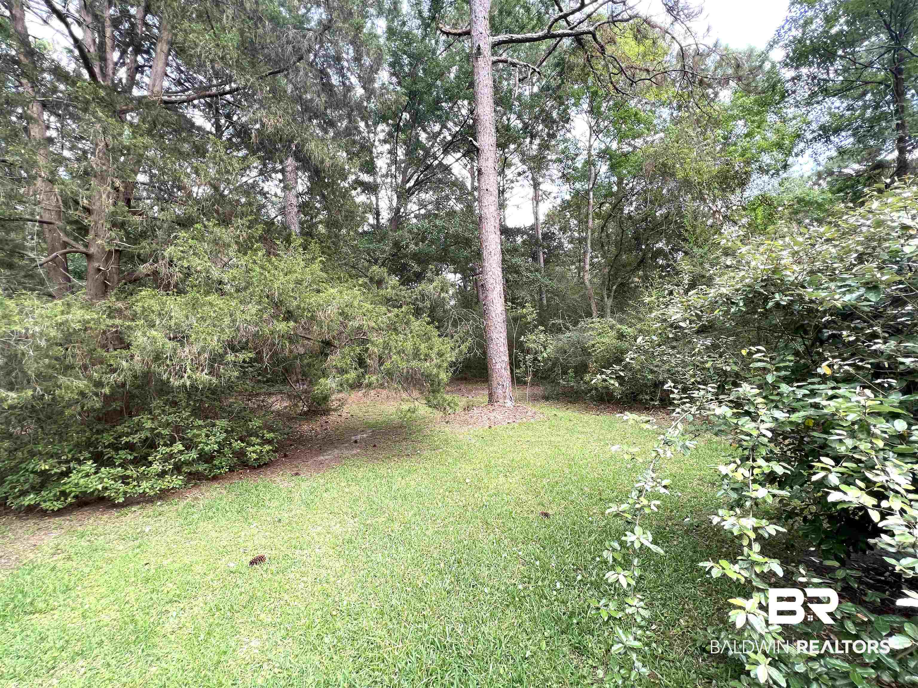 4749 Tufts Road Mobile, AL 36619 - Photo 20 of 25 HUGE BACKYARD