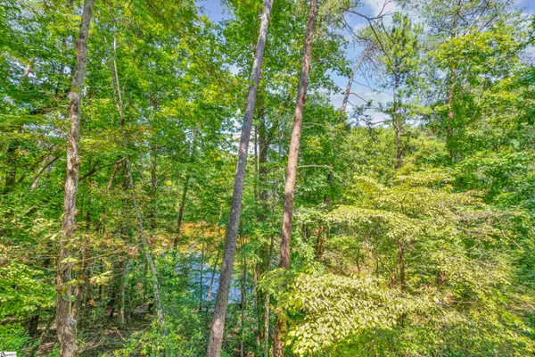 $1,080,000 | 30 Gulf Stream Lane, Salem, SC 29676