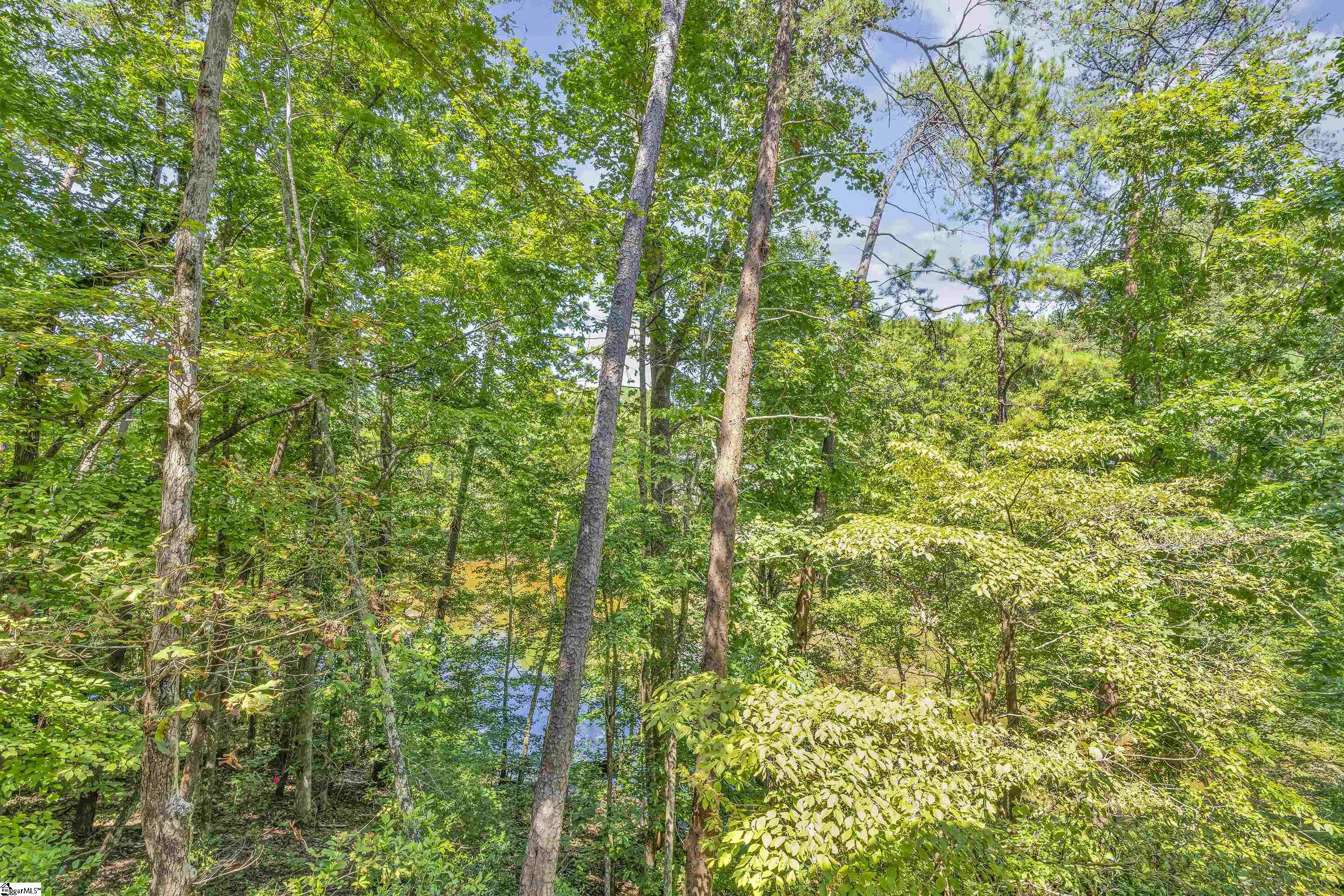 30 Gulf Stream Lane Salem, SC 29676 - Photo 9 of 50