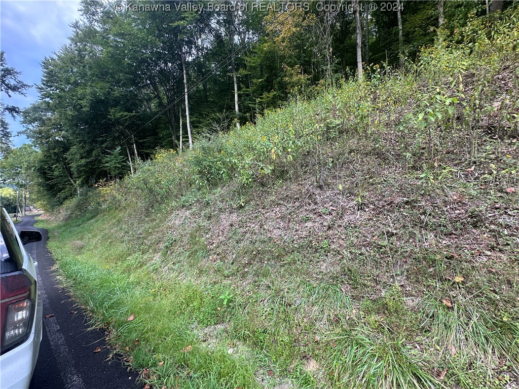 0 Coxs Fork Road Danville, WV 25053 - Photo 6 of 6 Gallery Image 6