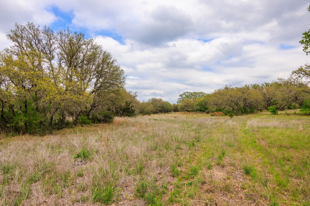 3276 Link Doss, TX 78618 - Photo 15 of 44 a view of a lake view