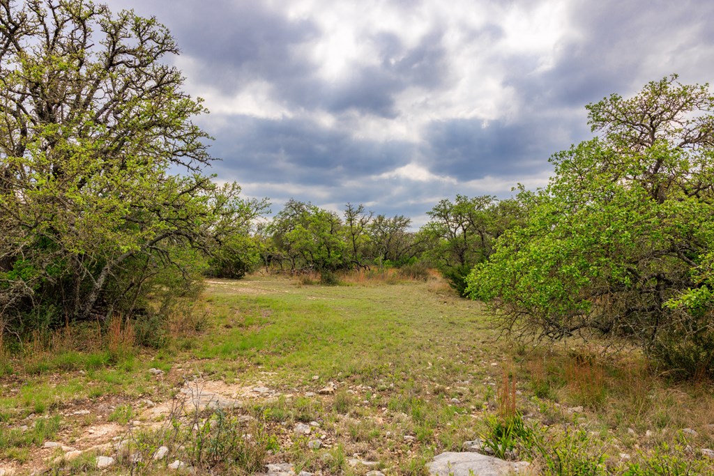 3276 Link Doss, TX 78618 - Photo 17 of 44 a view of a big yard with lots of green space