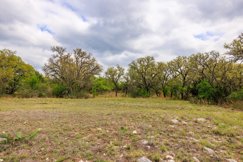 3276 Link Doss, TX 78618 - Photo 18 of 44 a view of a field with trees in the background