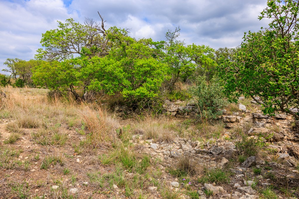 3276 Link Doss, TX 78618 - Photo 19 of 44 a view of a garden with a fountain