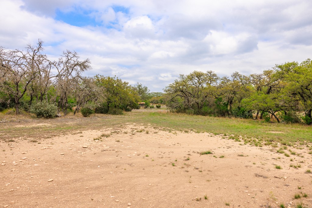 3276 Link Doss, TX 78618 - Photo 20 of 44 a view of a dry yard with wooden fence