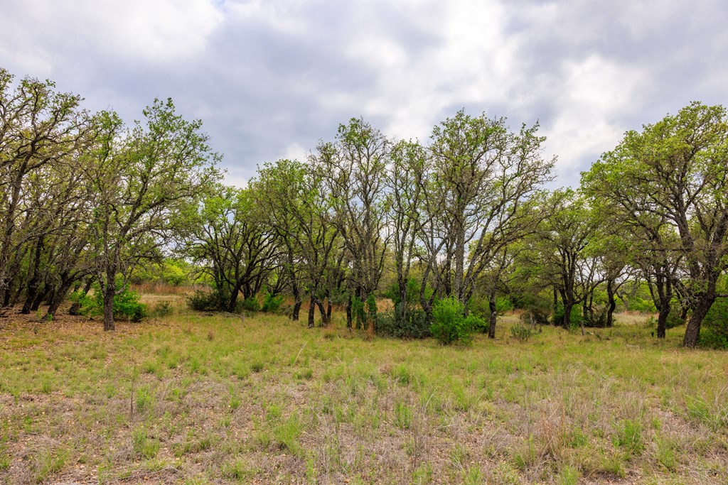 3276 Link Doss, TX 78618 - Photo 22 of 44 a view of backyard with green space