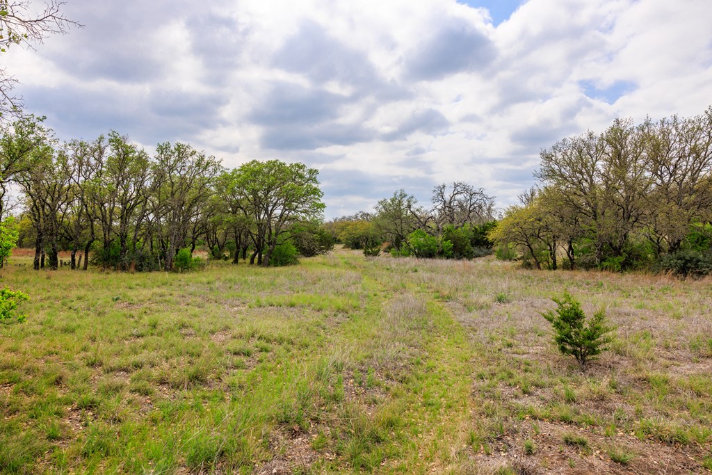 3276 Link Doss, TX 78618 - Photo 23 of 44 a view of a yard with an trees