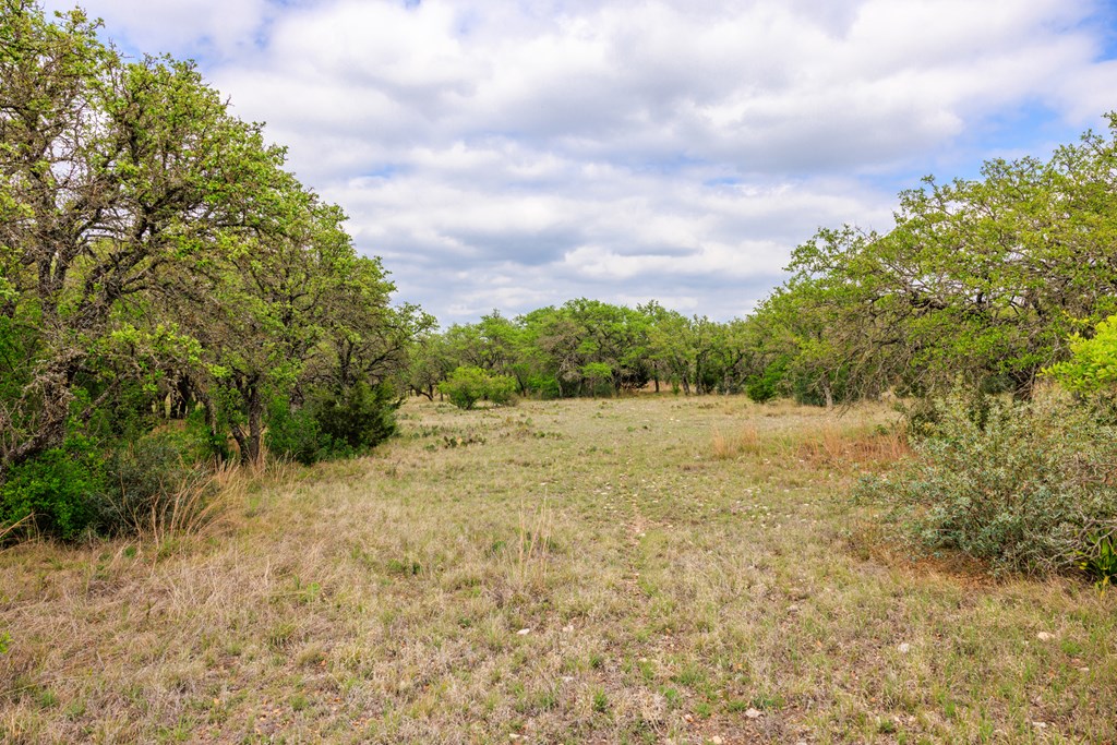 3276 Link Doss, TX 78618 - Photo 25 of 44 a view of a yard with plants and trees