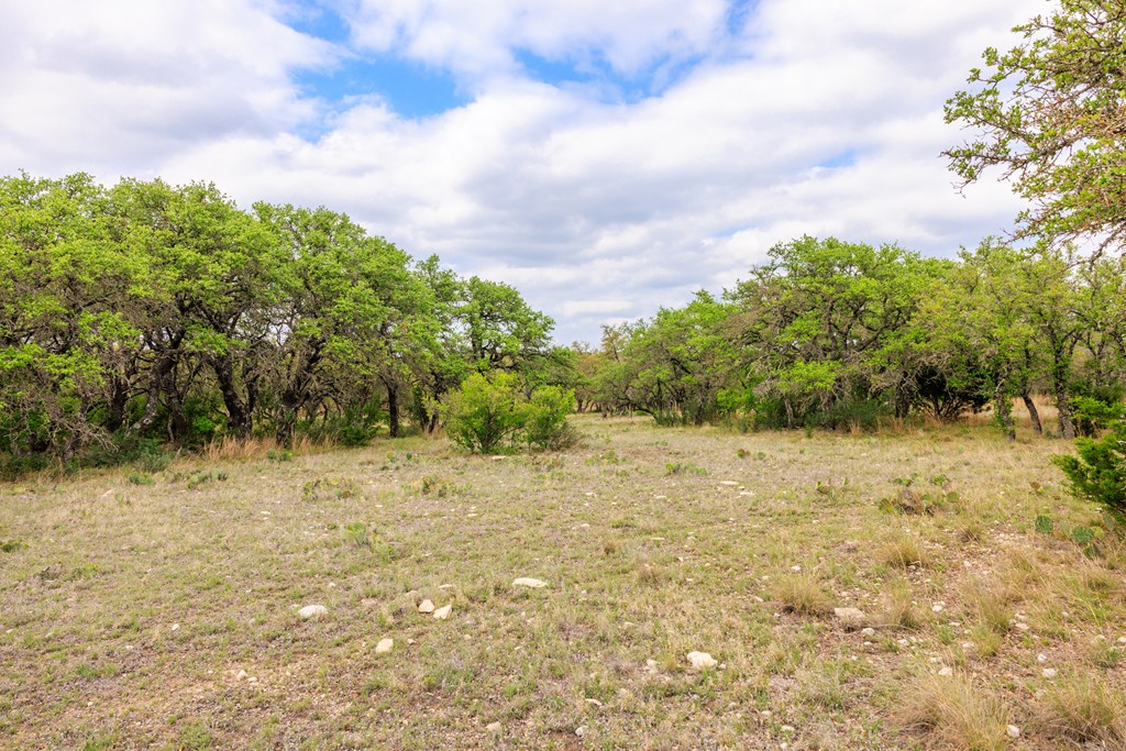 3276 Link Doss, TX 78618 - Photo 27 of 44 a view of a yard with trees