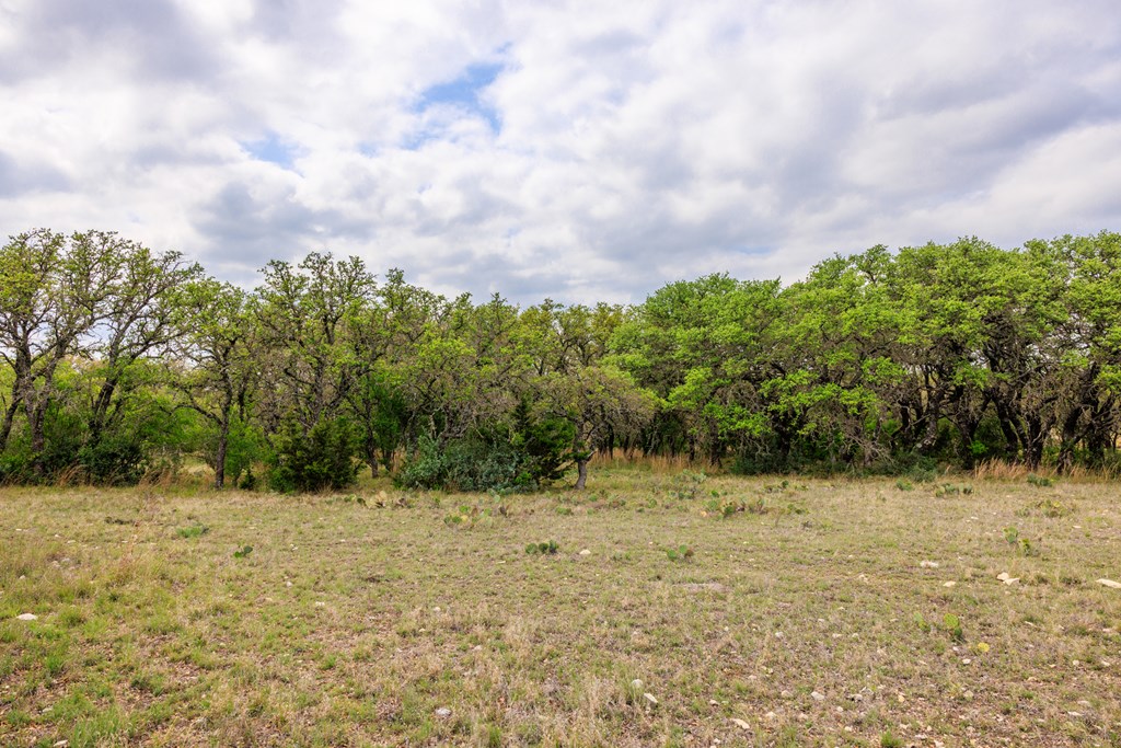3276 Link Doss, TX 78618 - Photo 28 of 44 a view of a yard