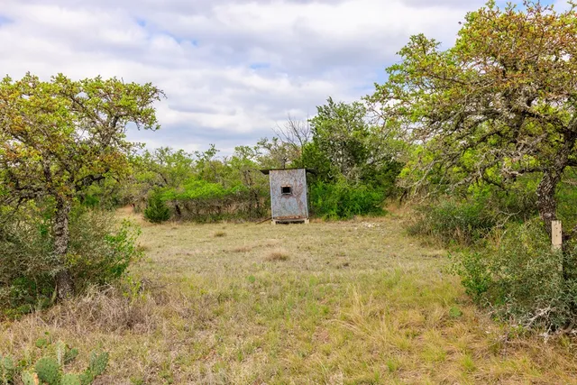 a view of a field with trees in the background