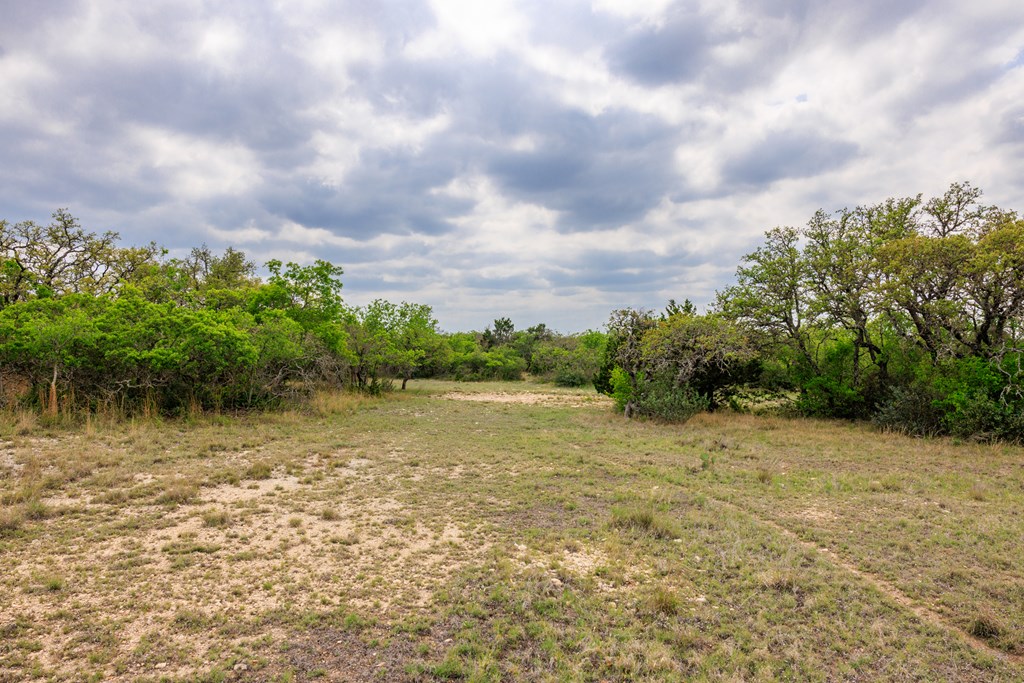 3276 Link Doss, TX 78618 - Photo 31 of 44 a view of a field with trees in the background