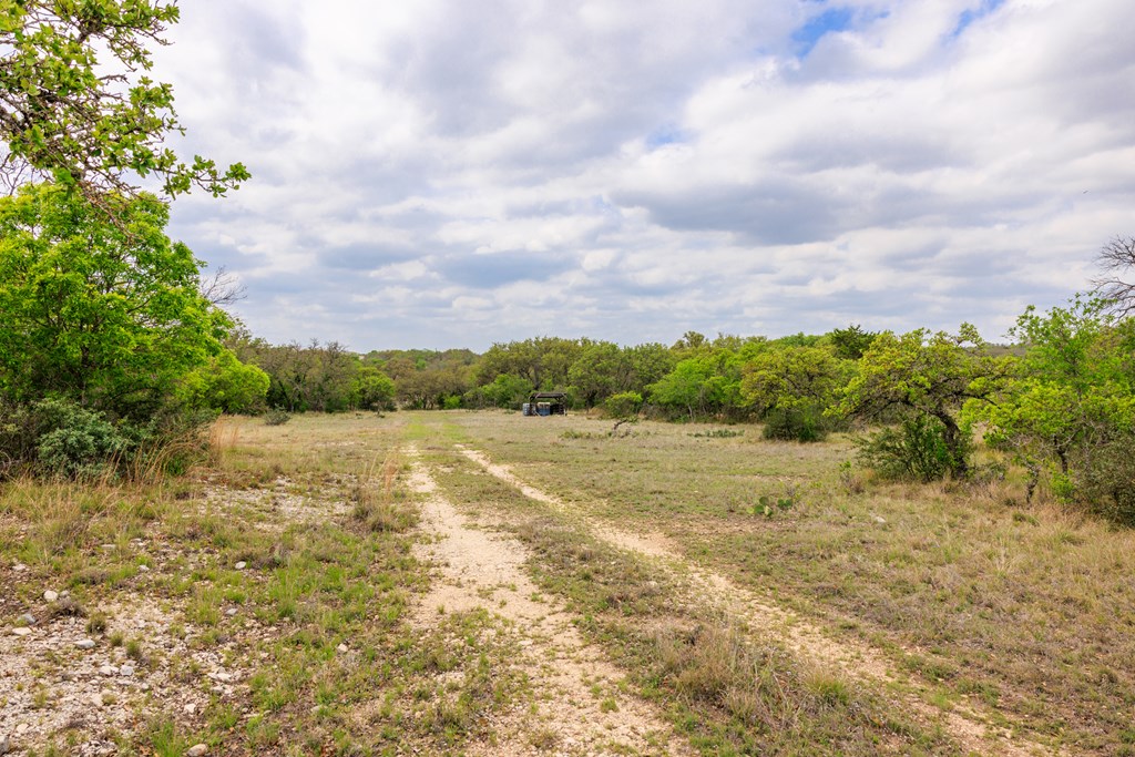 3276 Link Doss, TX 78618 - Photo 32 of 44 a view of lake with green space