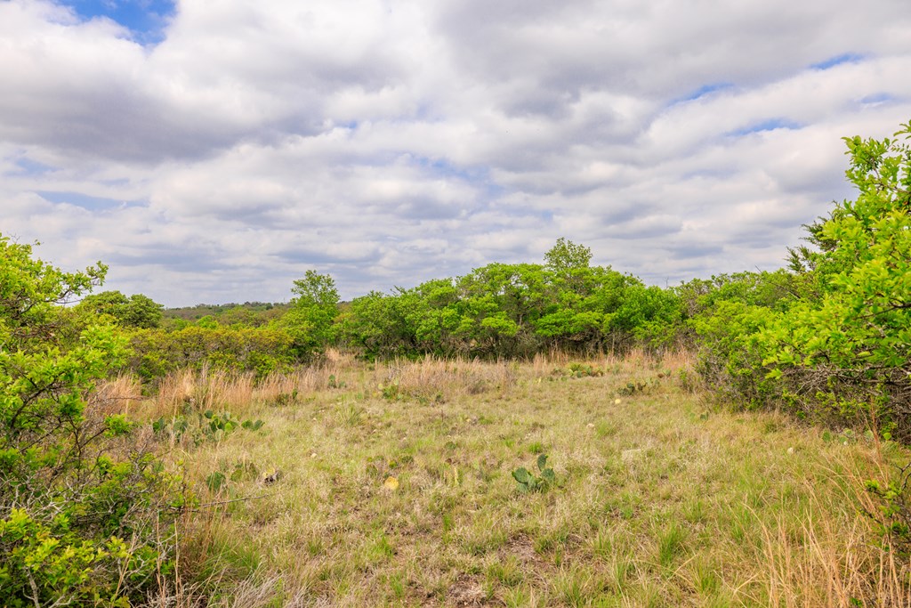 3276 Link Doss, TX 78618 - Photo 36 of 44 a view of a lake with a garden