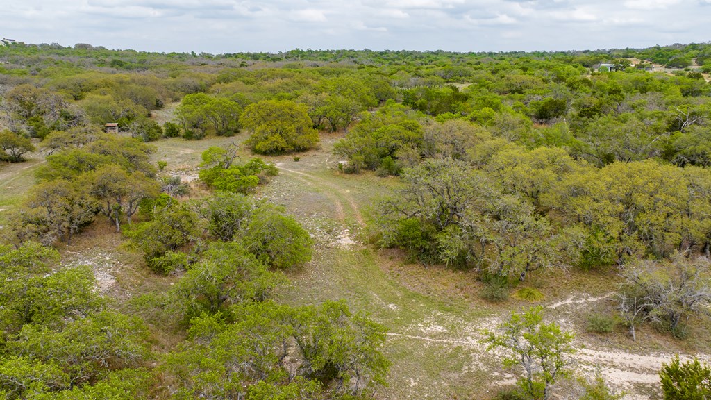 3276 Link Doss, TX 78618 - Photo 39 of 44 a view of a yard