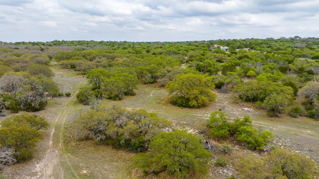 3276 Link Doss, TX 78618 - Photo 40 of 44 a view of a bunch of trees and houses