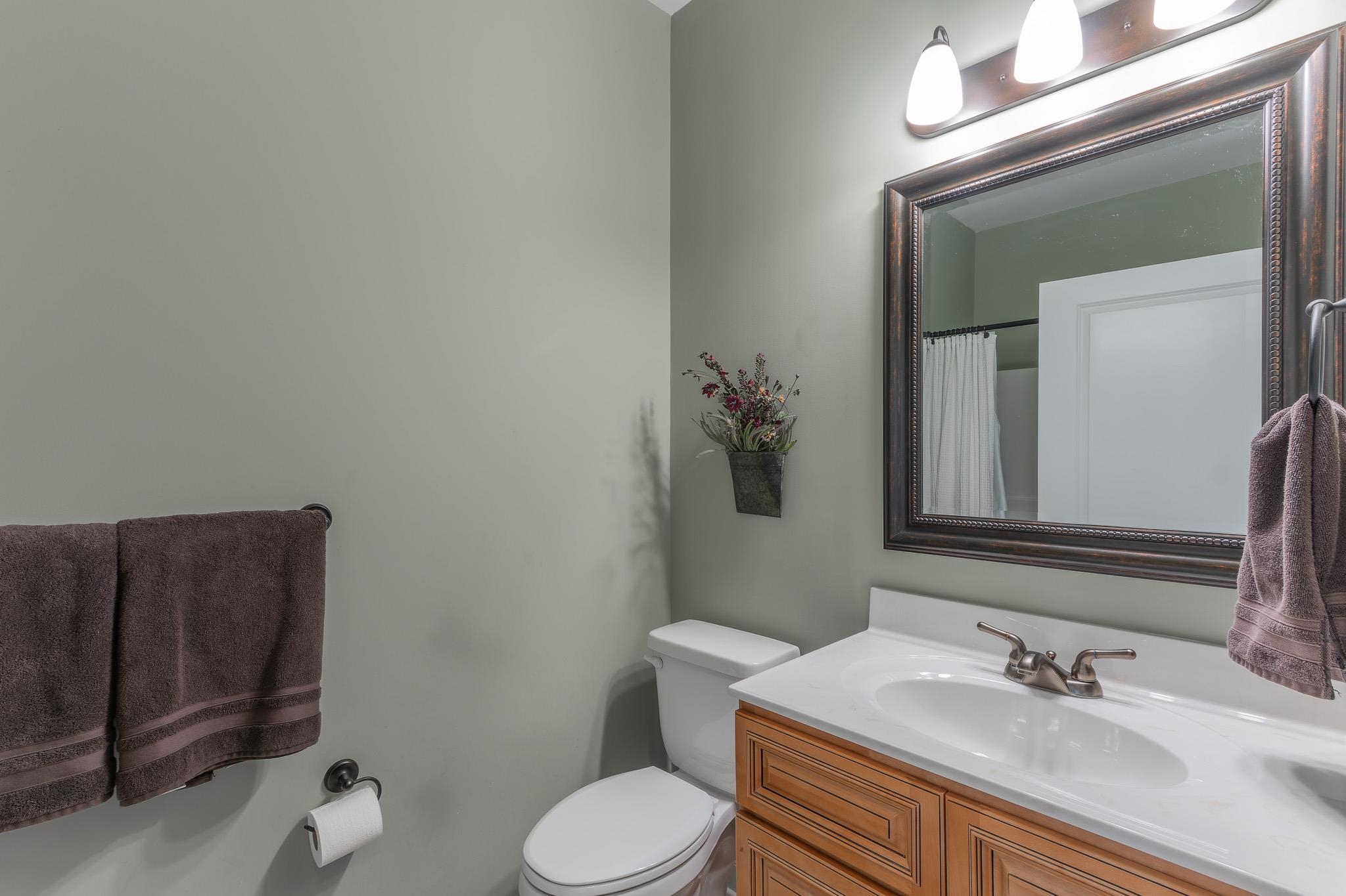 1685 Bald Eagle Circle Harrisonburg, VA 22801 - Photo 39 of 53 a bathroom with a sink vanity mirror and toilet