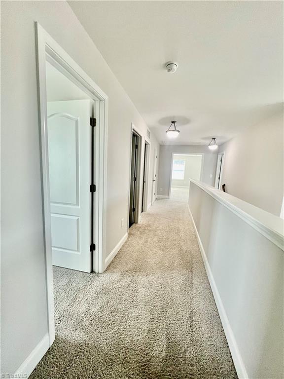 2101 Owls View Lane Colfax, NC 27235 - Photo 27 of 50