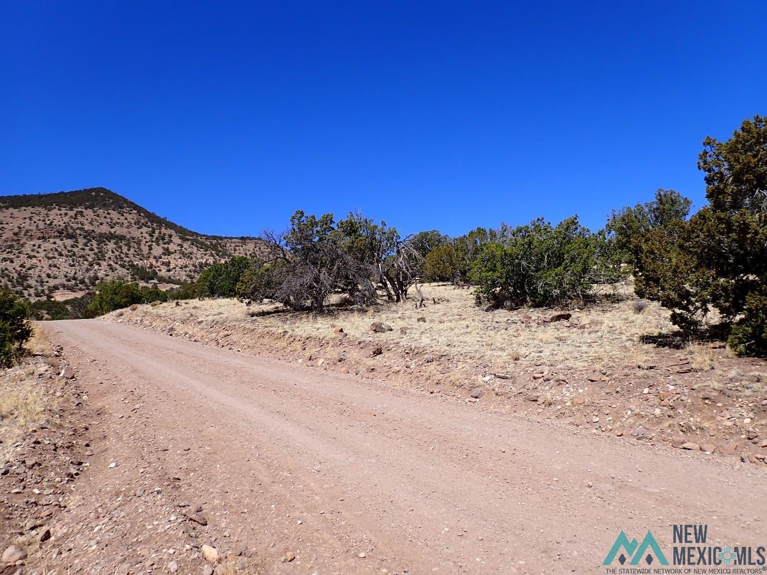 Xx Tanglewood Circle Datil, NM 87821 - Photo 16 of 18 View of dirt / gravel road with a mountain view and a view of rural / pastoral area