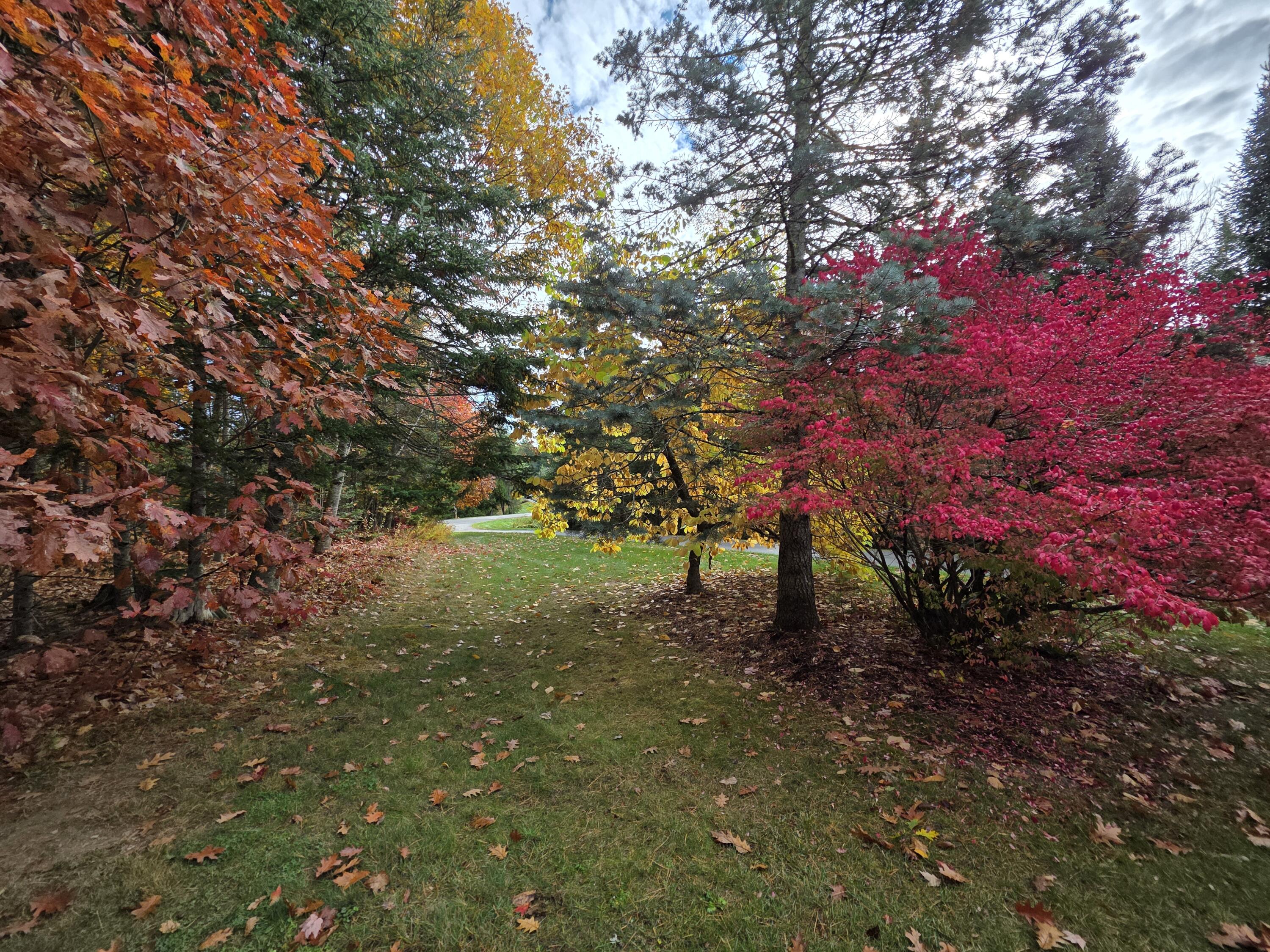 63 Griffin Avenue Hampden, ME 04444 - Photo 16 of 77 1000009521