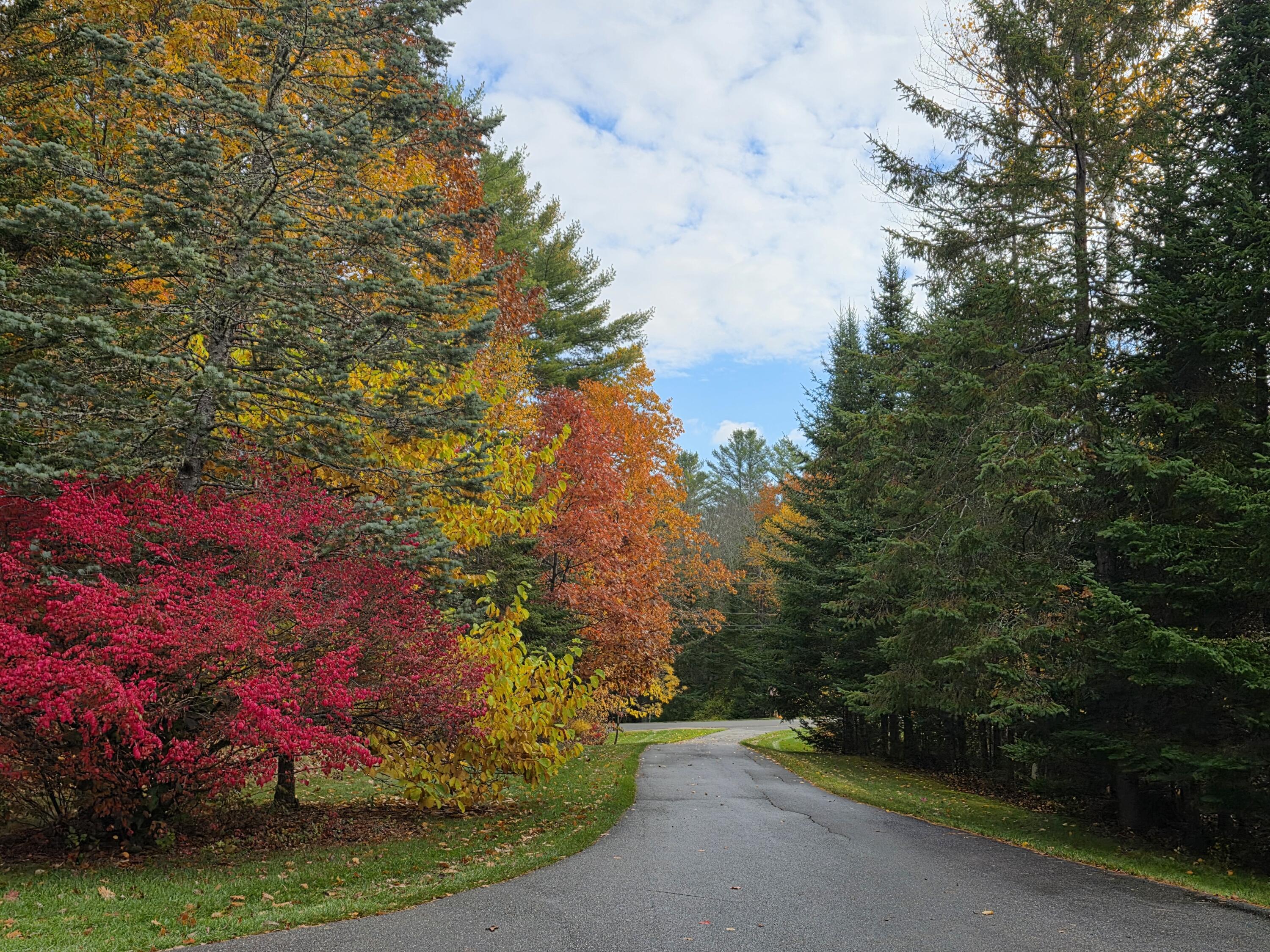 63 Griffin Avenue Hampden, ME 04444 - Photo 20 of 77 1000009523