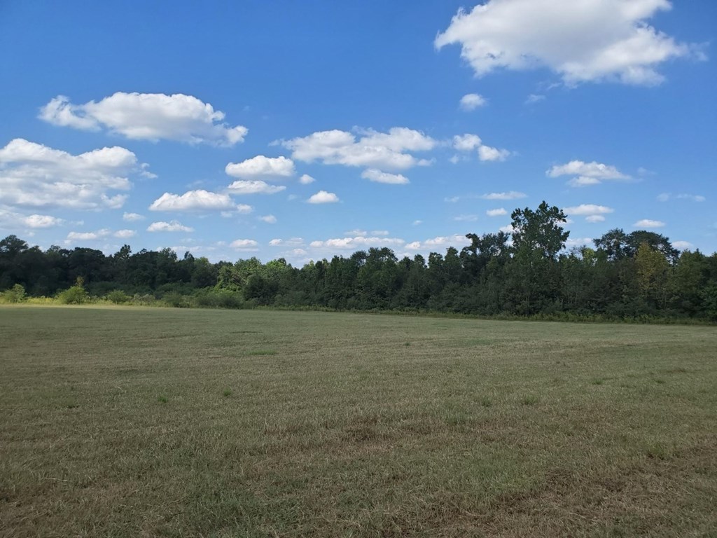 1243 Scott Road Slocomb, AL 36375 - Photo 3 of 10