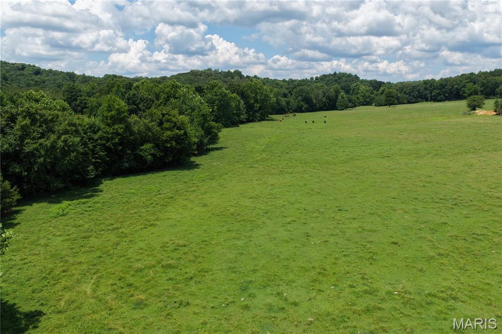 Tbd Fairview Road Imboden, AR 72434 - Photo 6 of 24