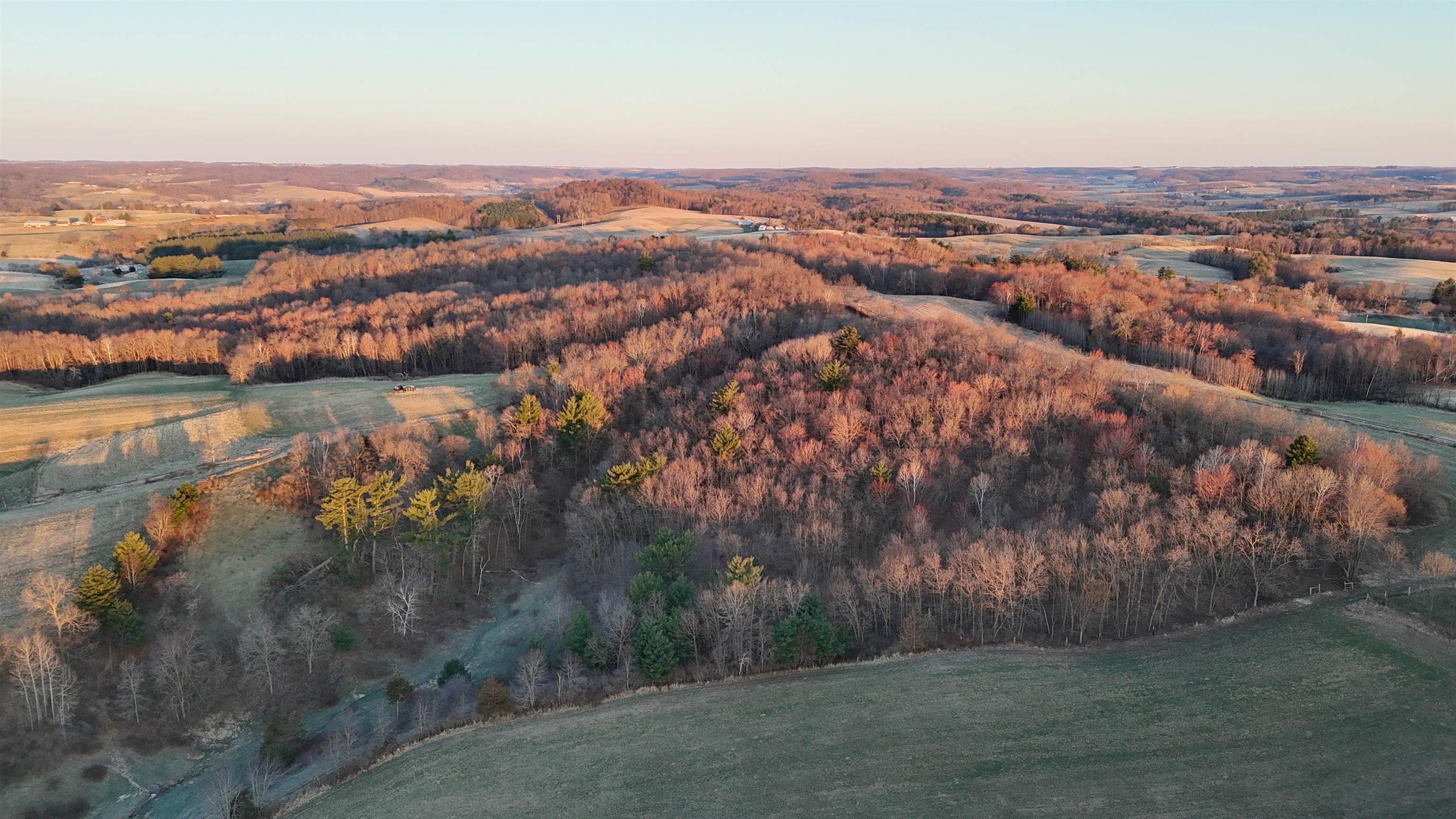N1503 Raese Road Elroy, WI 53929 - Photo 13 of 69