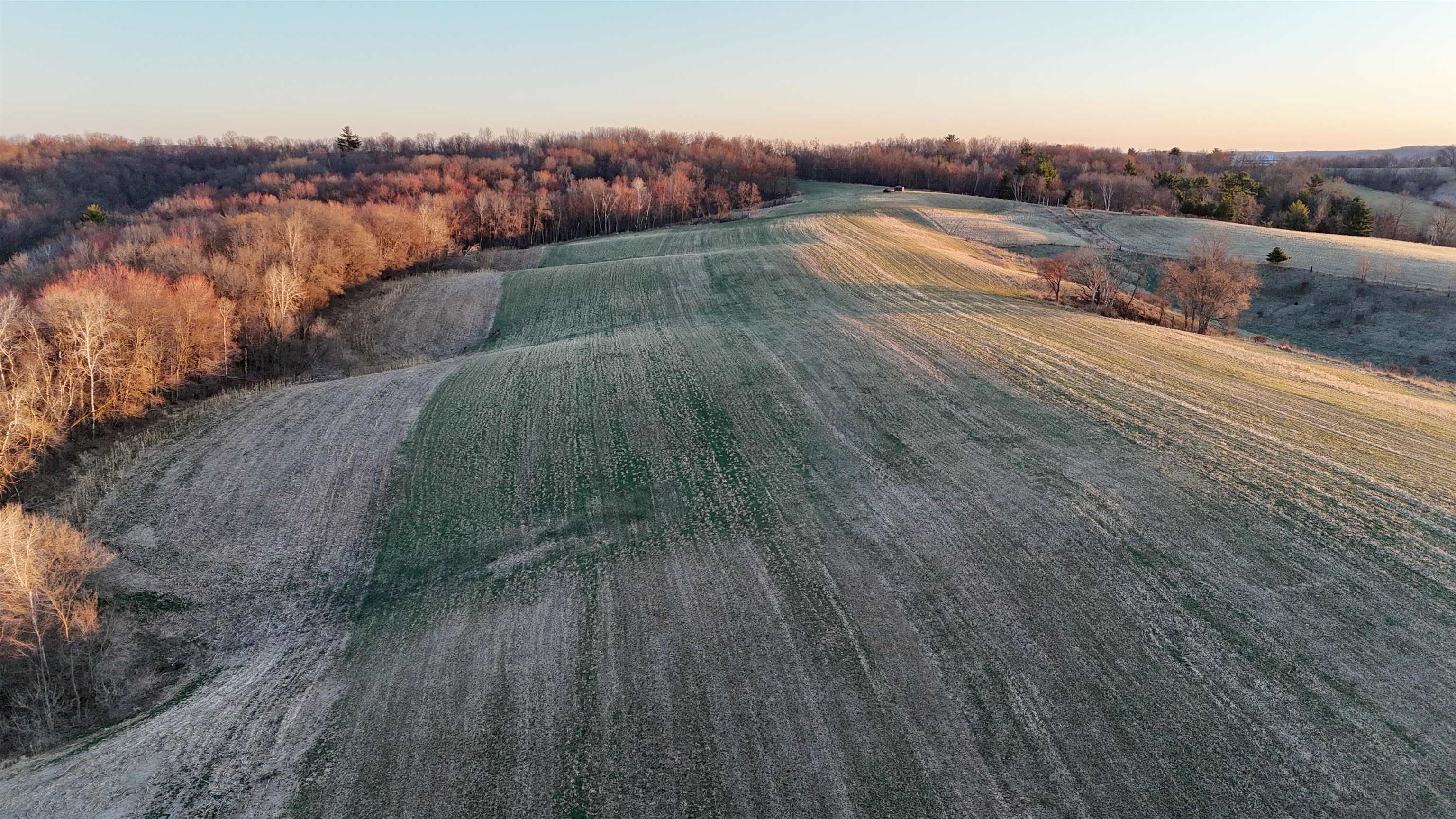 N1503 Raese Road Elroy, WI 53929 - Photo 16 of 69