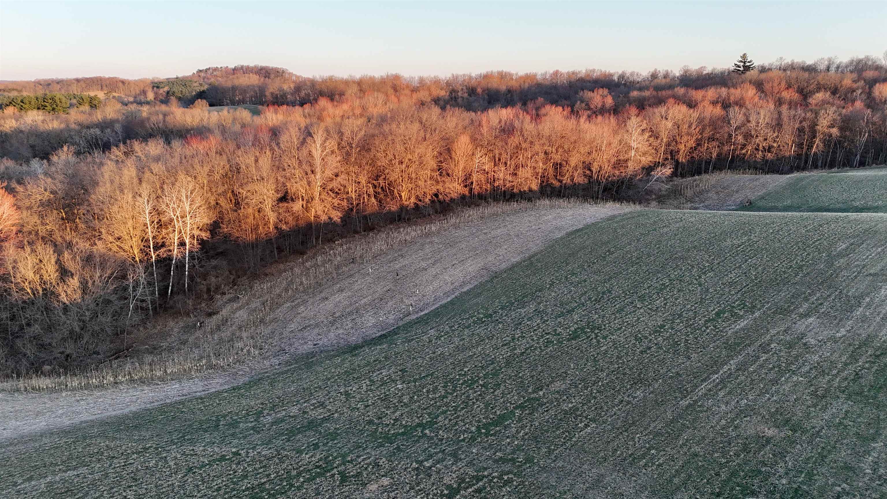 N1503 Raese Road Elroy, WI 53929 - Photo 17 of 69