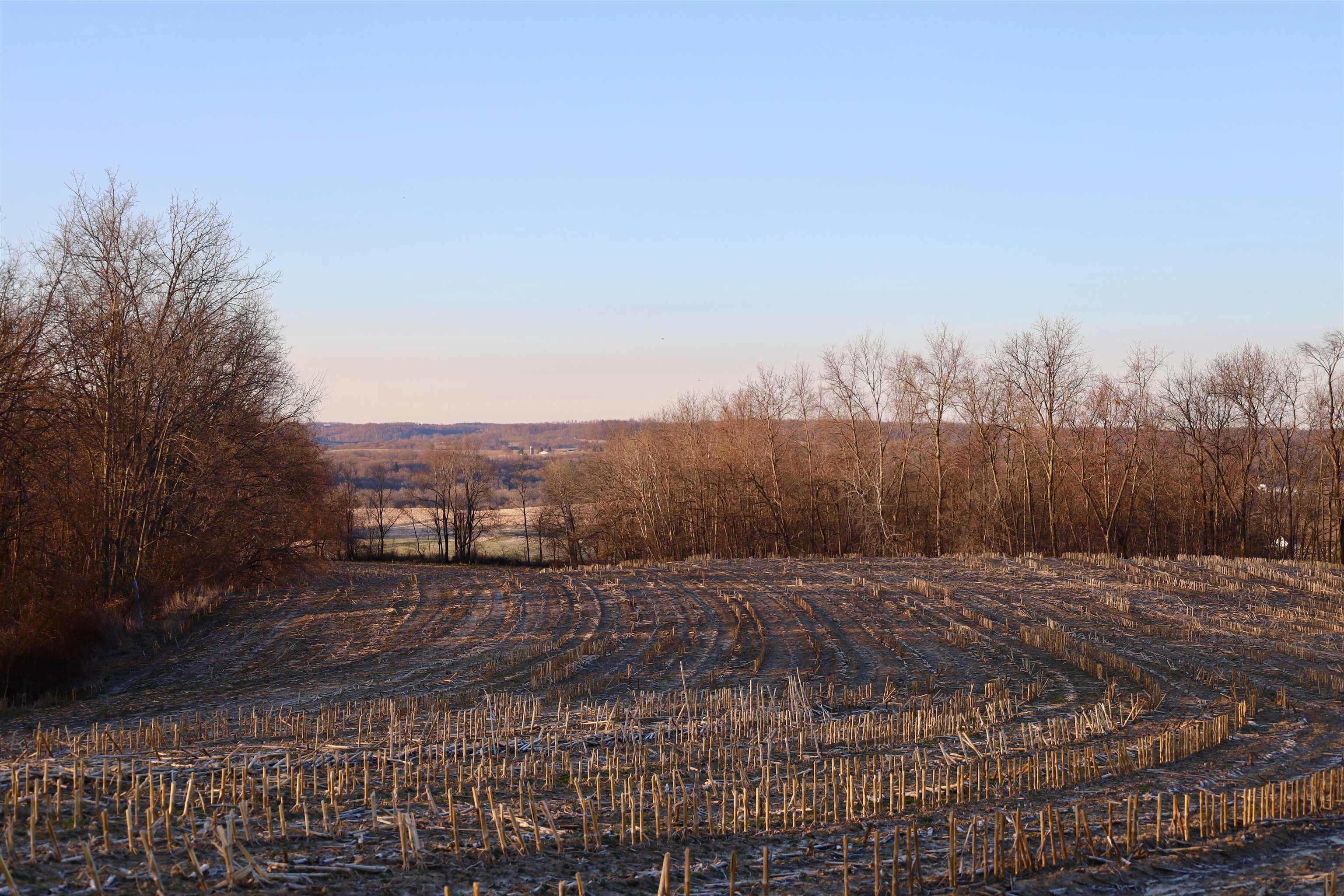 N1503 Raese Road Elroy, WI 53929 - Photo 60 of 69