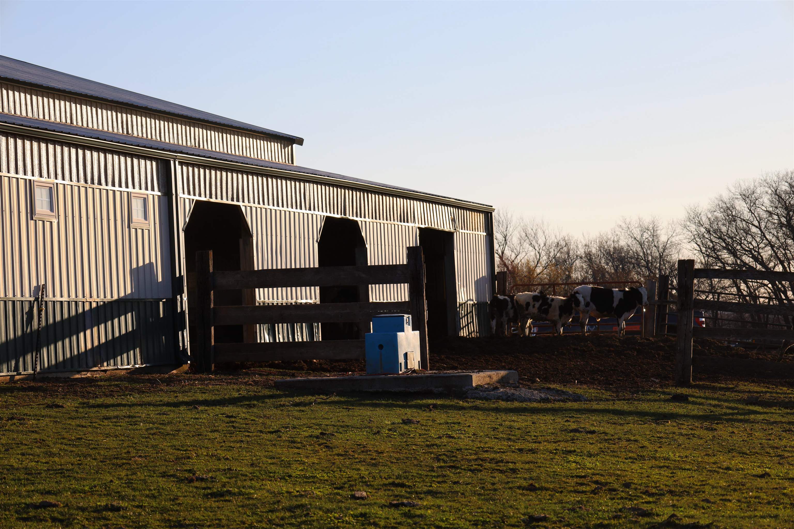 N1503 Raese Road Elroy, WI 53929 - Photo 63 of 69